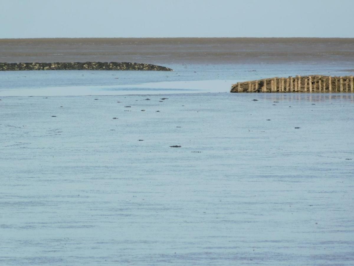 Nordsee Nordstrand Zewnętrze zdjęcie